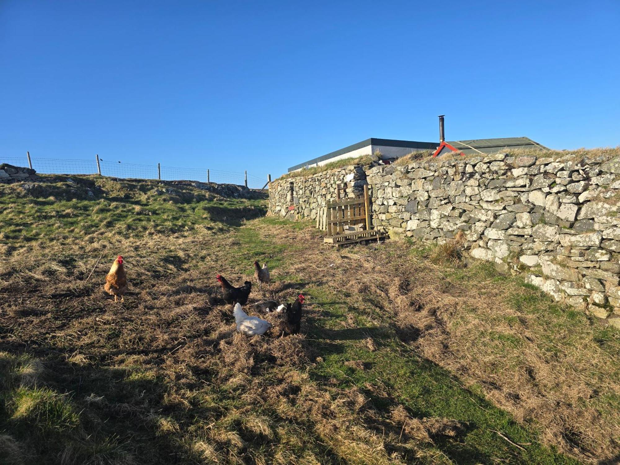 Villa Squealing Pig Bothy à Barvas Extérieur photo