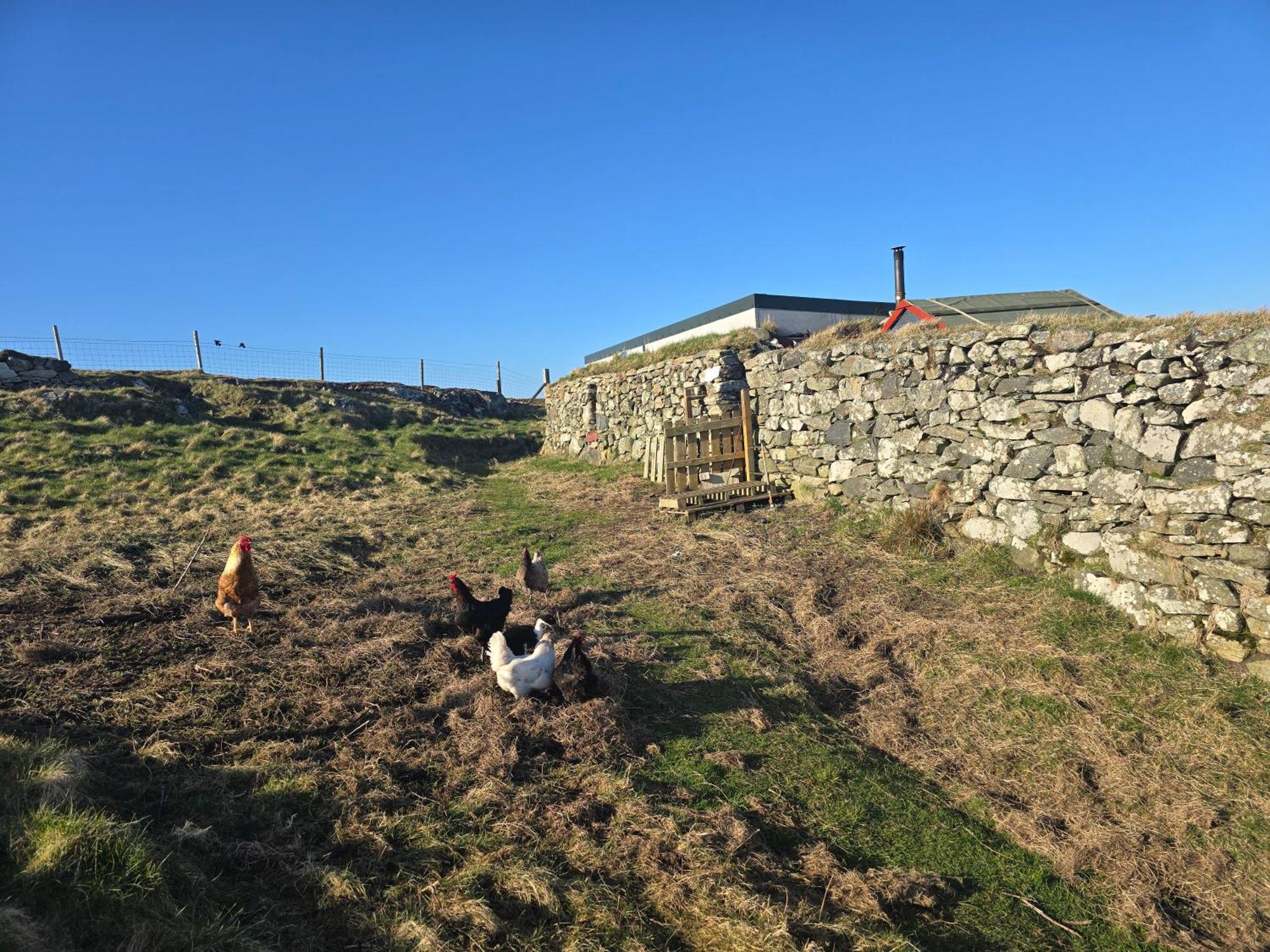 Villa Squealing Pig Bothy à Barvas Extérieur photo